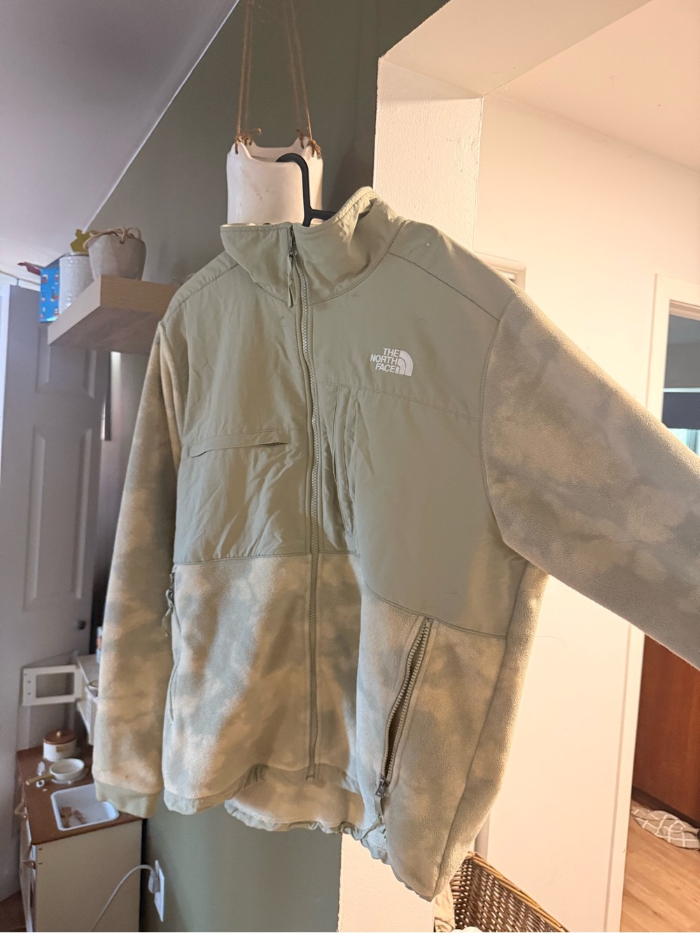 The North Face Denali Fleece Jacket in Light Sage